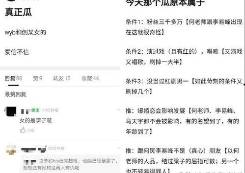 娱乐爆料网址是什么,追踪娱乐圈最新动态的秘境之门  第3张