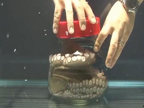 瓶子爆料最近新闻消息视频,最新热点新闻视频盘点  第1张